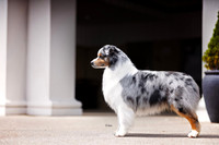 41. 4/25/26: Franklin TN (Bailey) L. Hawkins/K. Trippe