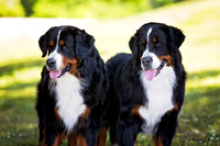 45. 4/25/26: Franklin TN (Berners) C. Loflin