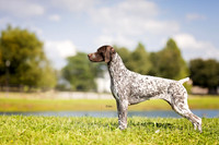 108. 8-26-26: (GSP) A. Casterline